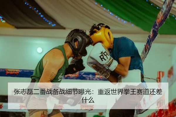 张志磊二番战备战细节曝光：重返世界拳王赛道还差什么